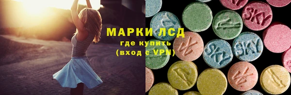 spice Богородск