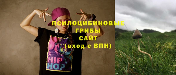 ГАЛЛЮЦИНОГЕННЫЕ ГРИБЫ Беломорск