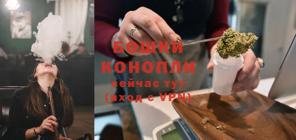 spice Богородск