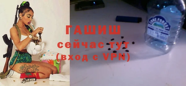 крисы Белокуриха