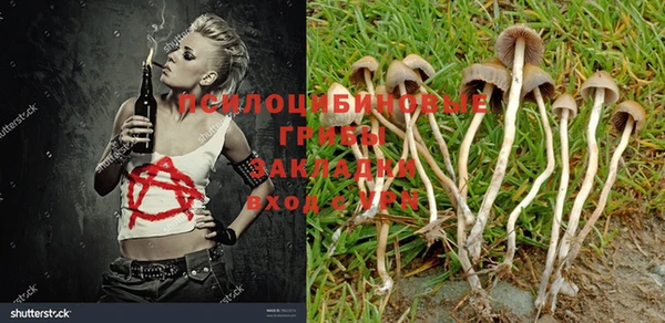 ALPHA-PVP Богородицк