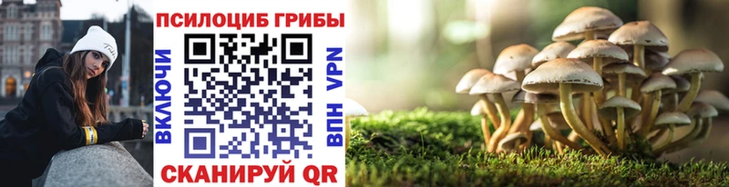 Галлюциногенные грибы прущие грибы  где купить   Тосно 